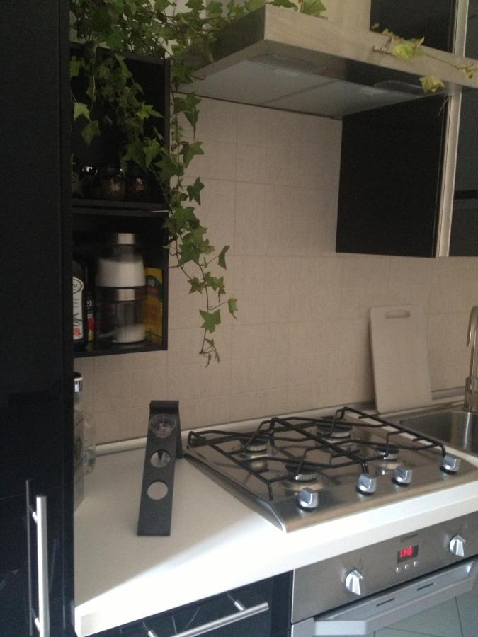 Apartment Near Historic Center With Bicycles Bologna Exteriör bild